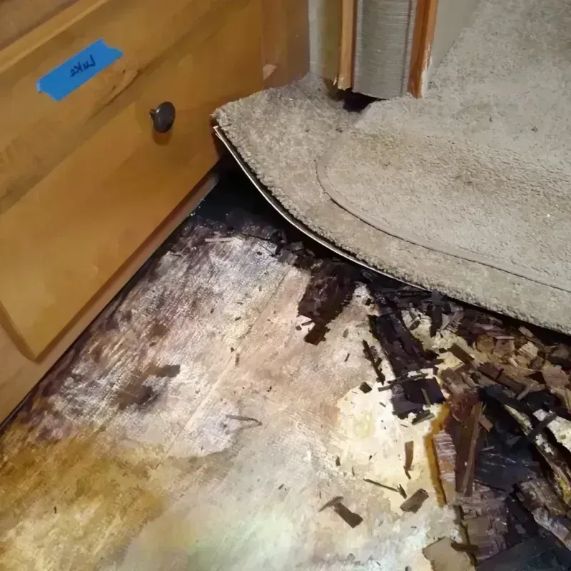 Wood Floor Water Damage in Fairview Park, OH